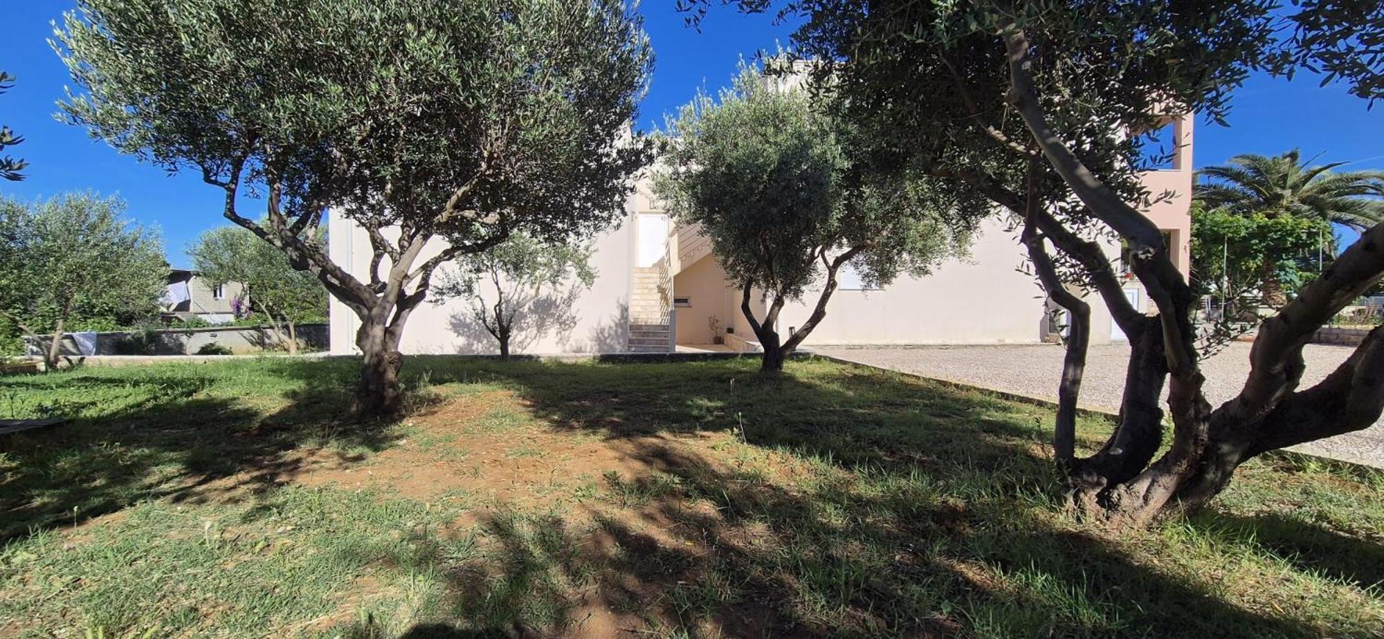 Apartman Petar Ražanac المظهر الخارجي الصورة